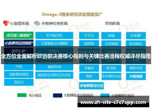 全方位全面解析欧协联决赛核心规则与关键比赛流程权威详尽指南